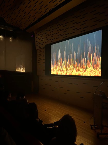 Fire projection detail